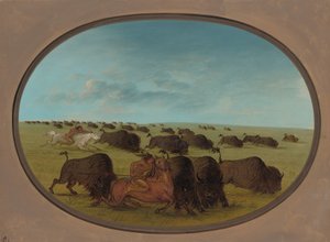 Büffeljagd mit Unfällen, 1861-1869 von George Catlin