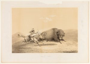 Büffeljagd, Verfolgung--Nr. 5 von George Catlin