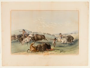 Büffeljagd, Verfolgung Nr. 7 von George Catlin