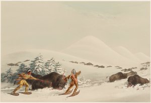 Büffeljagd auf Schneeschuhen