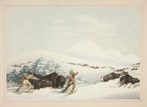 Büffeljagd auf Schneeschuhen, pl. 15 aus dem Nordamerikanischen Indianer-Portfolio von George Catlin