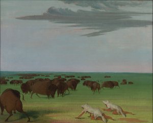 Büffeljagd unter der Wolfsmasken von George Catlin