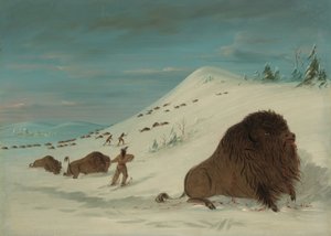 Büffeljagd in den Schneeverwehungen - Sioux, 1861-1869