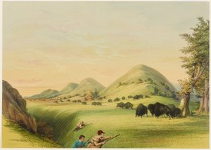 Büffeljagd, Annäherung in einer Schlucht von George Catlin