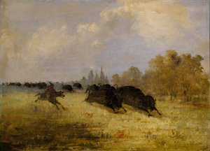 Caddo-Indianer jagen Büffel, Cross Timbers, Texas von George Catlin