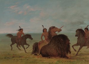 Camanchees, die einen Büffelbullen lanzen, 1861-1869