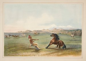 Das Einfangen des Wildpferdes, pl. 4 aus dem Nordamerikanischen Indianer-Portfolio von George Catlin