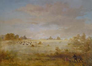 Elch weidet auf einer Herbstprärie von George Catlin