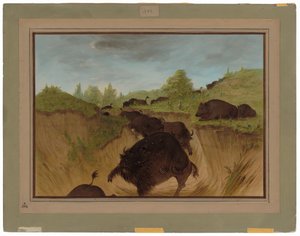Grizzlybären greifen Büffel an von George Catlin