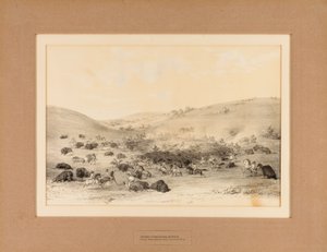 Indianer umzingeln Büffel - Nr. 9