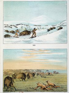Indianer Amerikas. Bisonjagd: Indianer tragen Schneeschuhe, um im Winter zu jagen, und bedecken sich im Sommer mit Wolfshaut. Illustration von George Catlin (1794-1872)