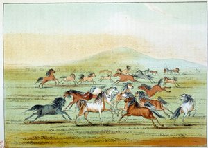 Wilde Pferde, die von Indianern gejagt werden. Illustration von George Catlin von George Catlin