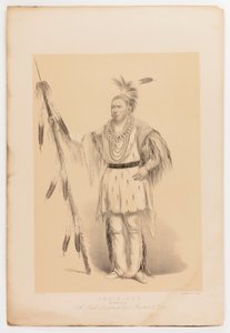 Joc-o-sot, der wandelnde Bär von George Catlin