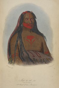 Mah-to-toh-pa (die vier Bären), 2. Häuptling der Mandan