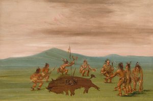 Medizinbüffel der Sioux von George Catlin
