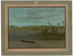Mündung des Rio Purus von George Catlin