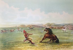Osage-Jäger fangen Wildpferde