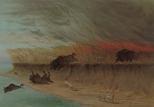 Brennende Präriewiesen, 1861-1869 von George Catlin