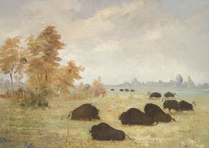 Büffel jagen, Arkansas von George Catlin