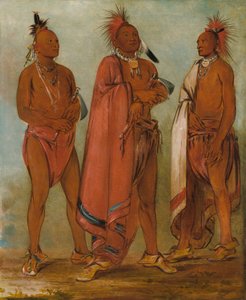Wa-másh-ee-sheek, Der, der wegnimmt; Wa-chésh-uk, Krieg; Mink-chésk, Drei herausragende junge Männer