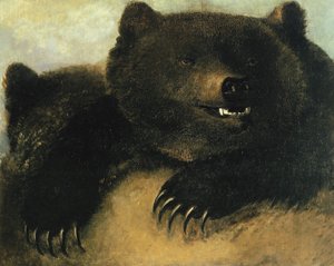 Waffen und Physiognomie des Grizzlybären, 1846-1848 von George Catlin