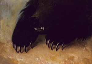 Waffen und Physiognomie des Grizzlybären, 1846-1848 von George Catlin