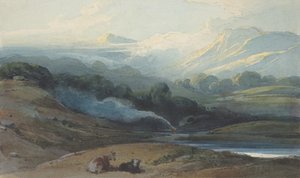 Rinder ruhen in einer bergigen Landschaft