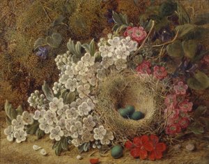 Ein Vogelnest und Blüten auf einem moosigen Ufer von George Clare