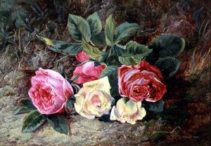 Rosen, 1865