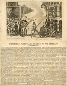 Zerstörung des wütenden Elefanten bei Exeter Change von George Cruikshank