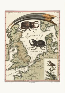 Der Schnabel des ägyptischen Ibis und der kleinste Kolibri, 1749-73 von George Edwards