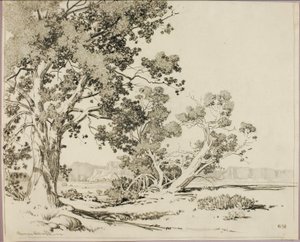 Ohne Titel von George Elbert Burr