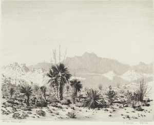 Eine Fata Morgana, Arizona von George Elbert Burr
