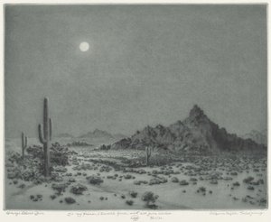 Arizona Nacht von George Elbert Burr