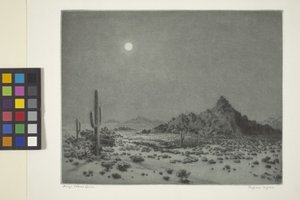 Arizona Nacht von George Elbert Burr
