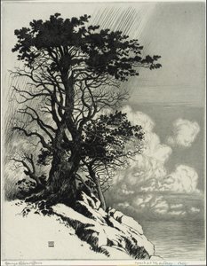 Küste bei Monterey, Kalifornien