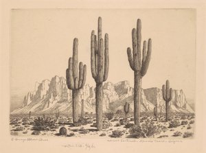 Wüstensentinellen, Apache Trail, Arizona