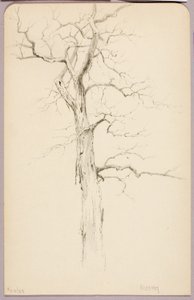 Hickory von George Elbert Burr