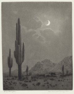 Neumond und Abendstern