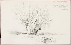 Roche Vaud von George Elbert Burr