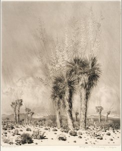 Frühling, Paradise Valley, Arizona von George Elbert Burr