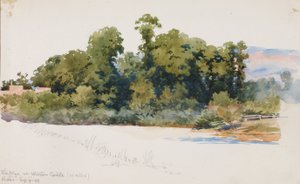 Der Wye bei Wilton Castle (Wales)