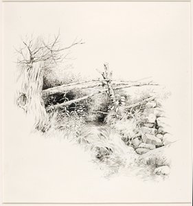 Ohne Titel (Waldstrom) von George Elbert Burr