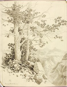 Ohne Titel (Übertragungszeichnung für einen Druck) von George Elbert Burr