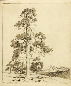 Ohne Titel (Übertragungszeichnung für einen Druck) von George Elbert Burr