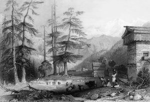 Dorf Koghera und Deodar-Wald, nahe dem Choor