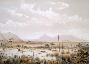 Kängurujagd bei Port Lincoln, aus 