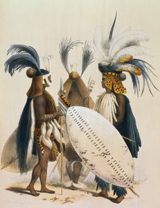Zulu-Soldaten der Armee von König Panda, Tafel 20 aus 