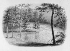 Ein Bach aus dem Hosack-Album