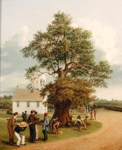 Die Eiche des Apostels